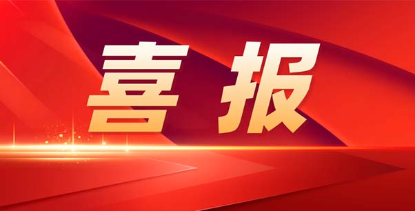 喜報！熱烈祝賀我司榮獲江蘇省“專精特新”企業(yè)稱號